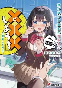 Light Novel is Now on Sale