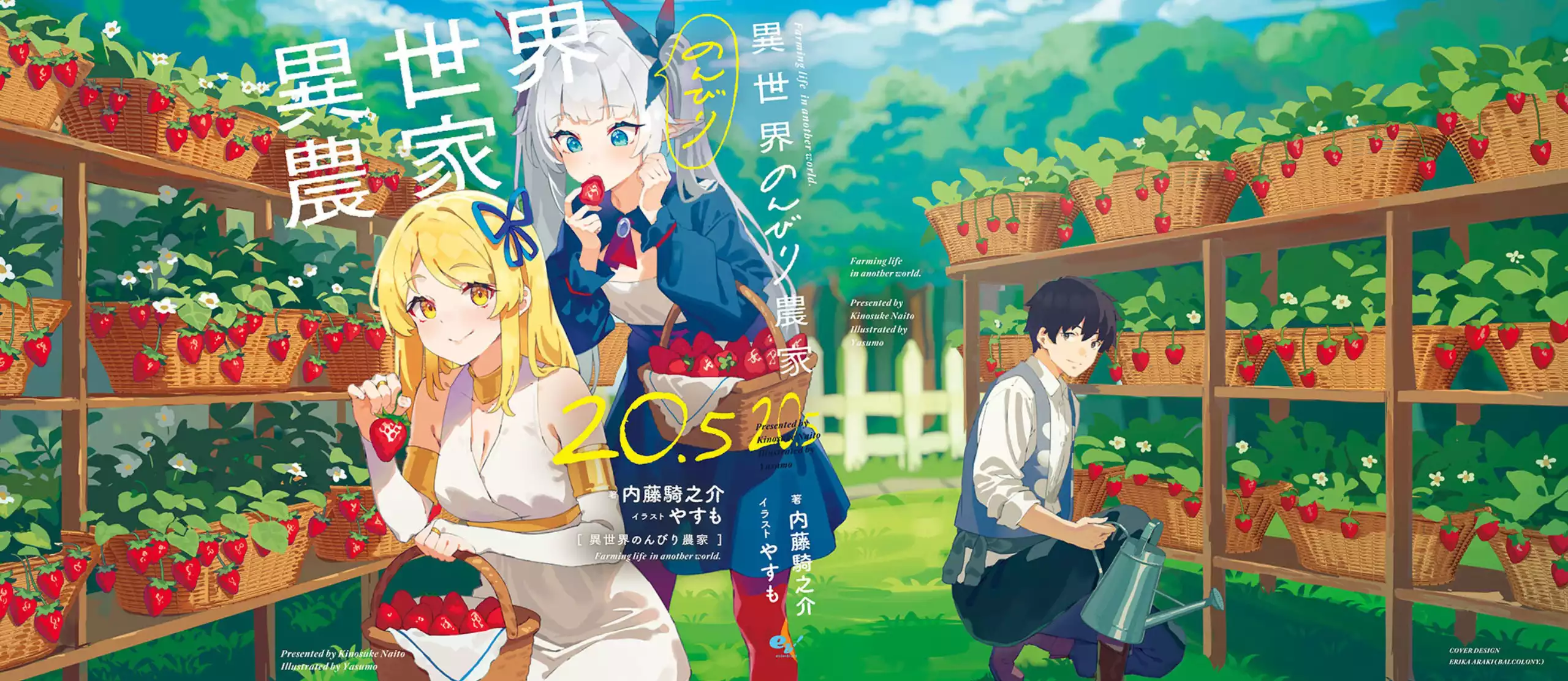 V20.5 full cover